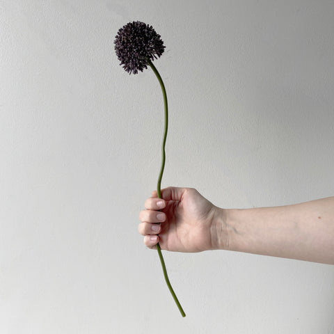 Allium Spray