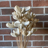 Bleached Flowers Bundle