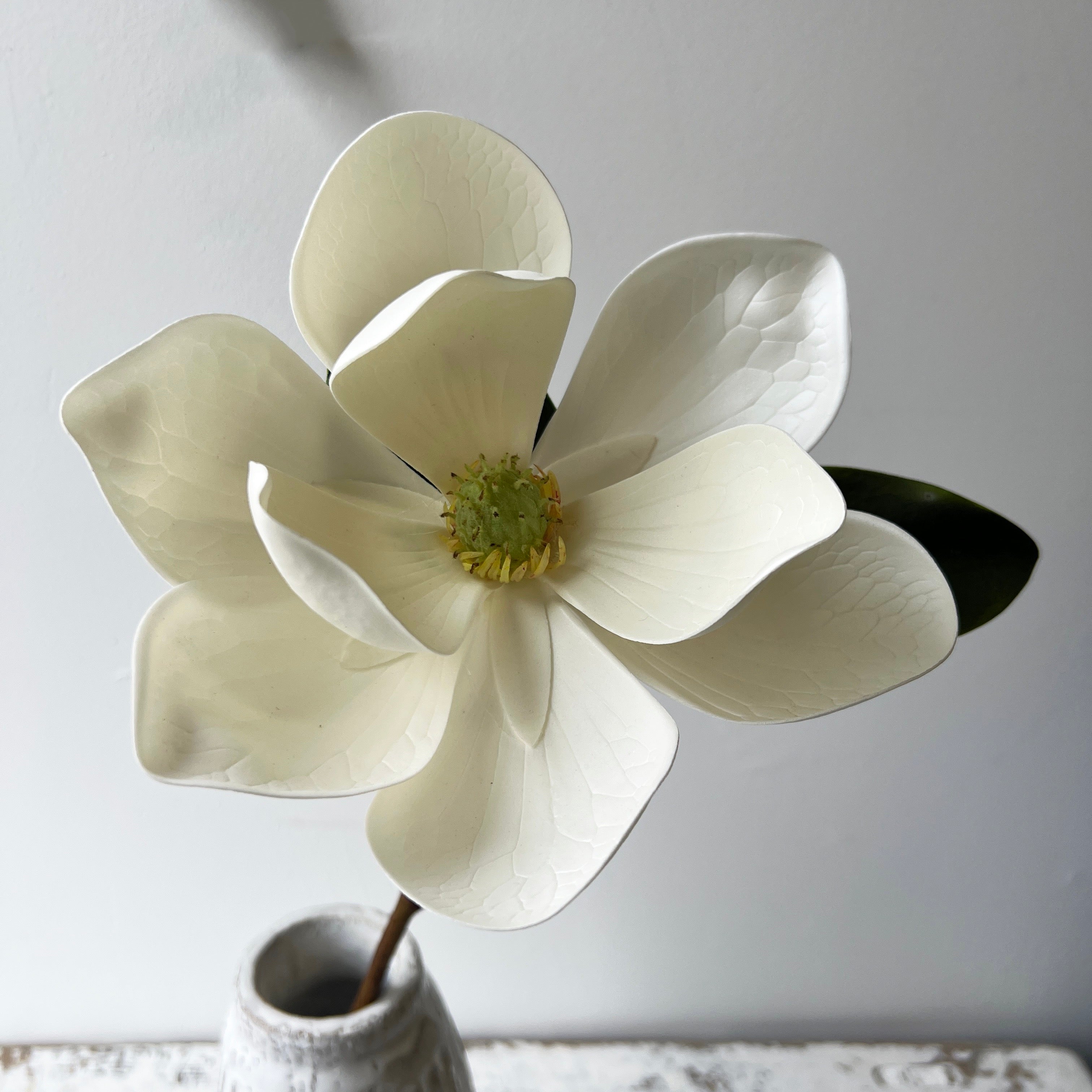 Magnolia Spray