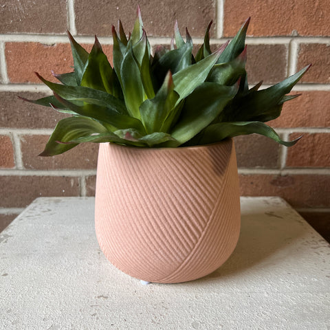 Engraved Stoneware Planter