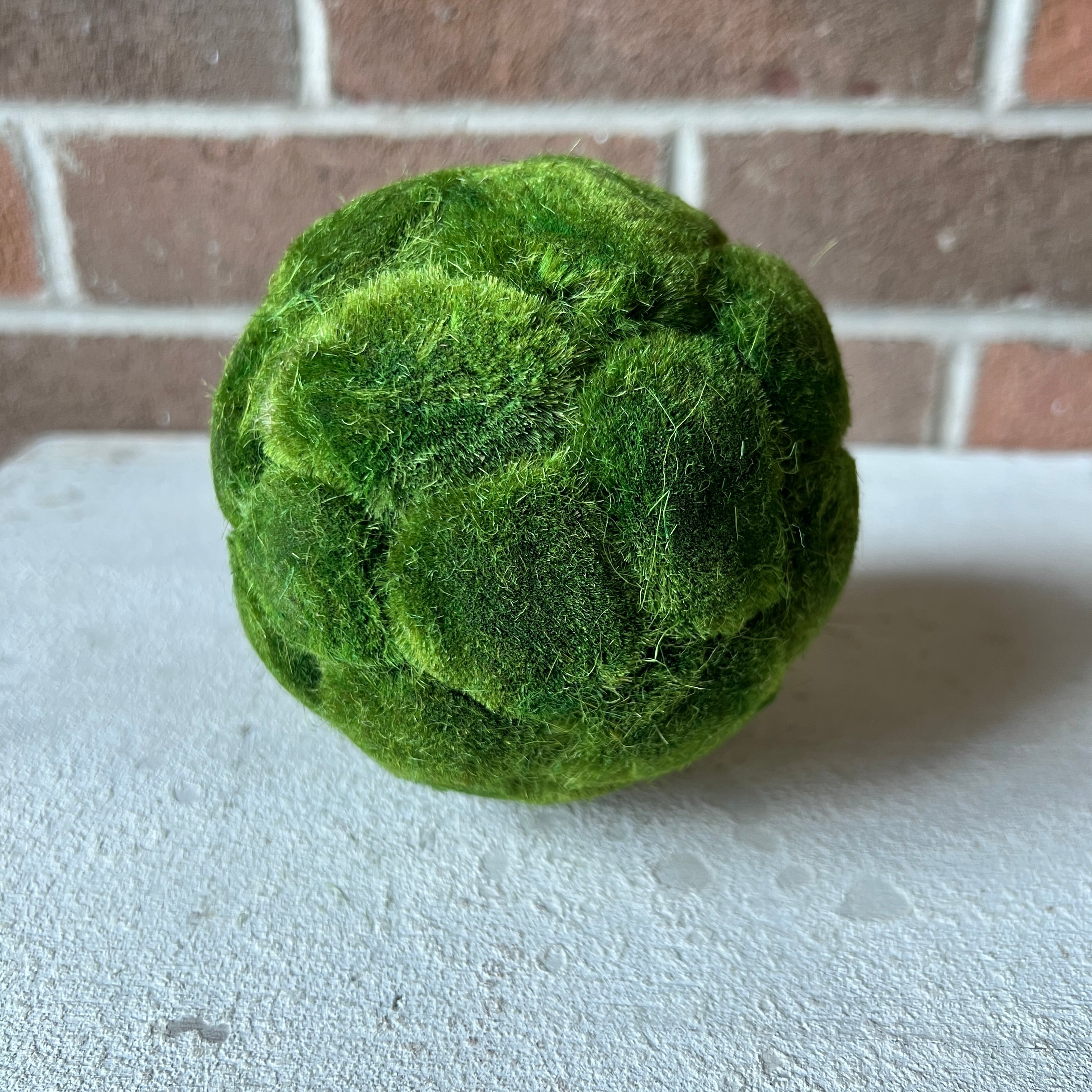 Moss Ball