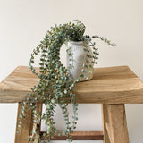 Hanging Artificial Fern