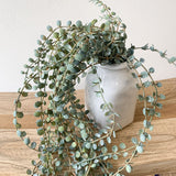 Hanging Artificial Fern