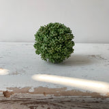 4.5" Succulent Orb