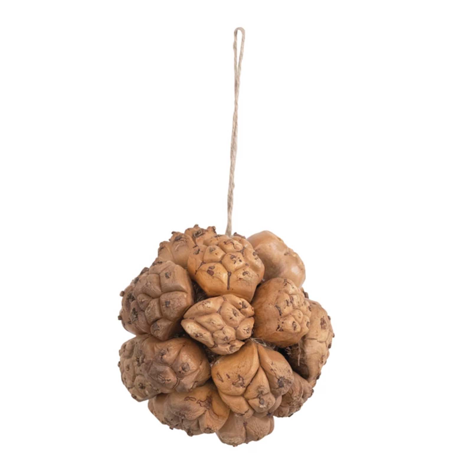 Dried Camel Pod Ornament 4"